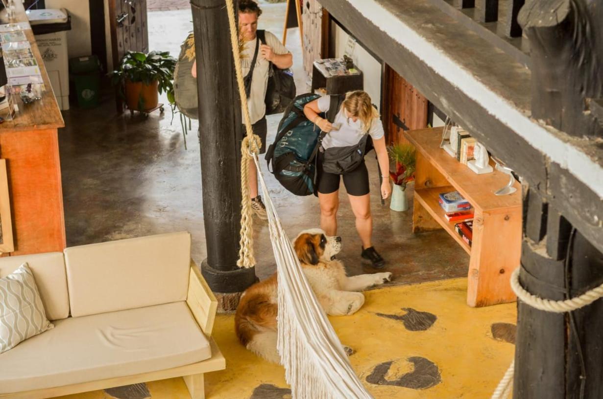 Coffee Tree Boutique Hostel Salento Eksteriør bilde